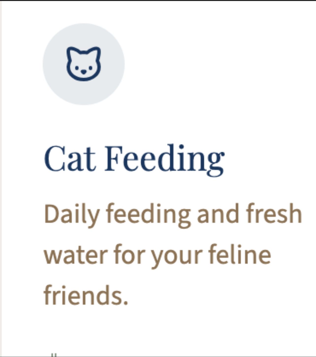 Cat Feeding