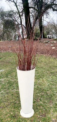 Tall Cream Color Urn with Vine Branches