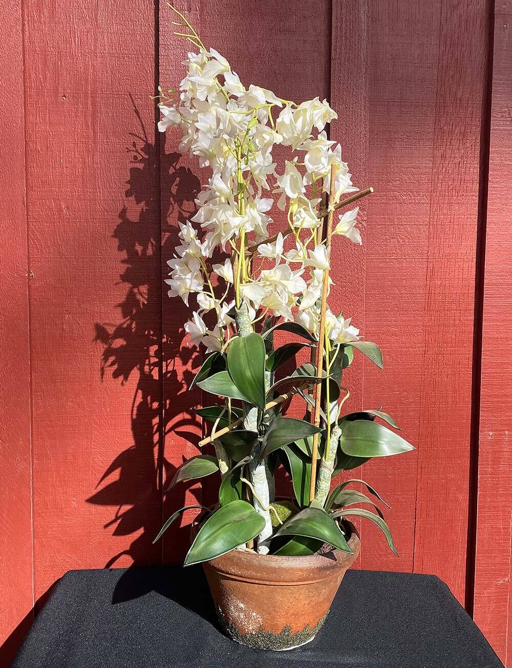 Faux White Oncidium Orchid
