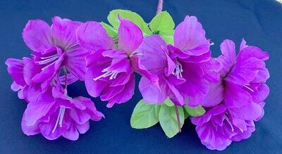 Purple Flowers with green leaves