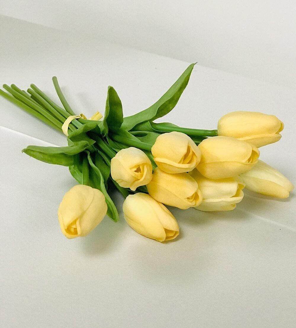 Ivory Tulip Bunches