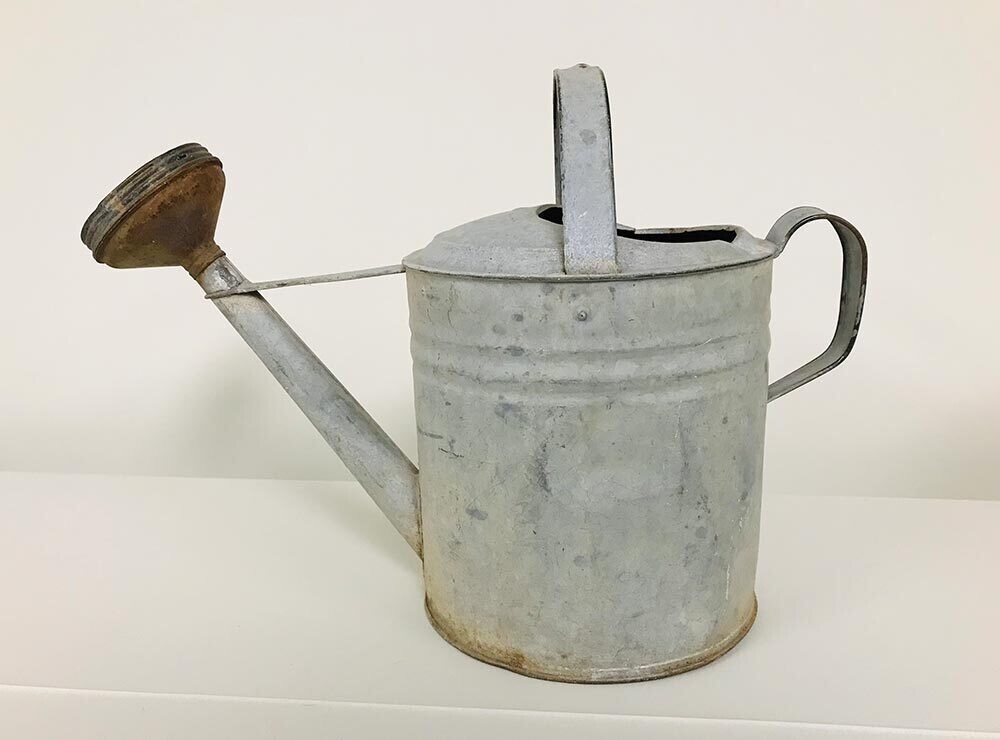 Rustic Watering Can