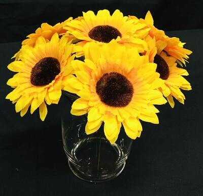 Individual Sunflower Stems