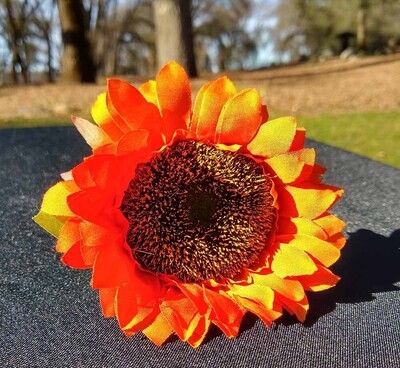 Individual Sunflower Stem Orange