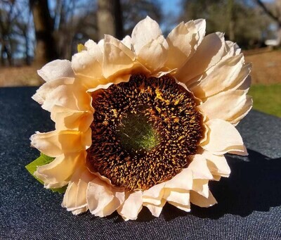 Individual Sunflower Stem Blush