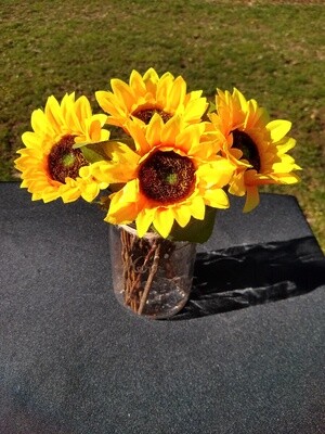 Individual Sunflowers