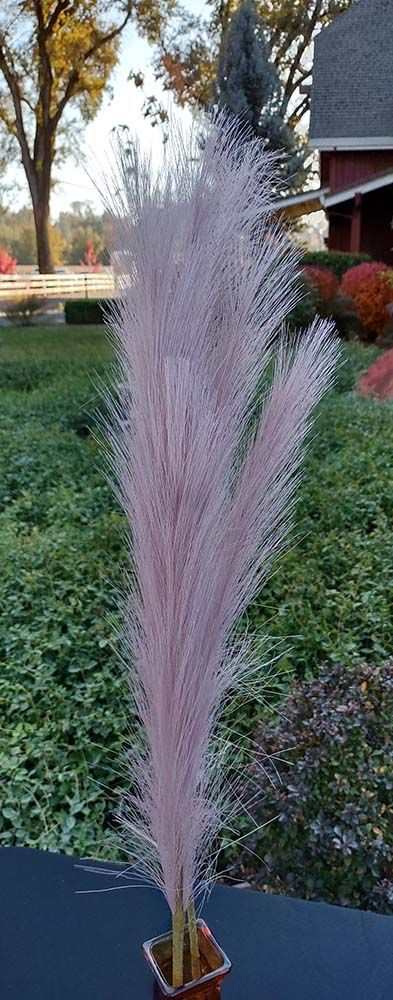 Pink Pampas Grasses