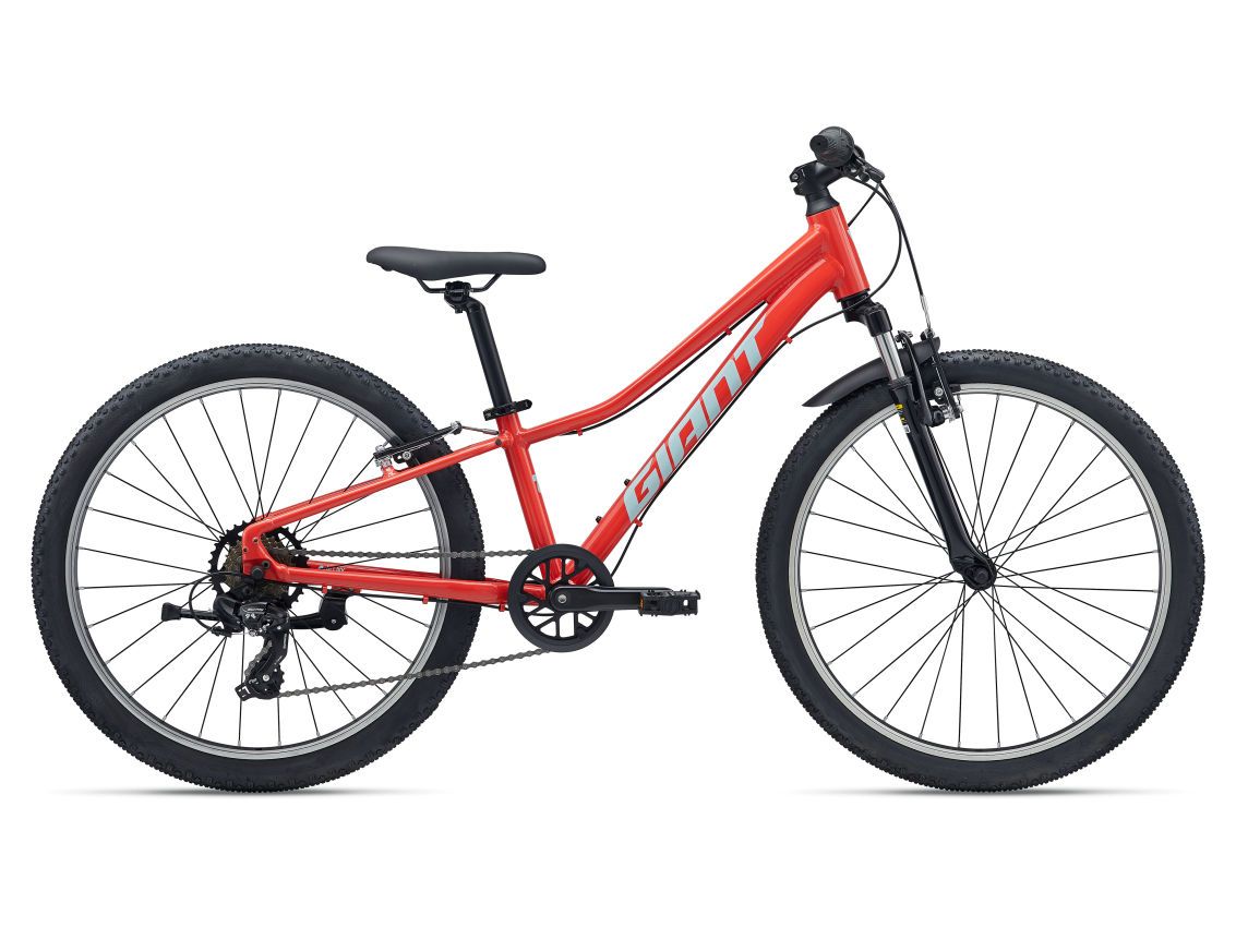 GIANT TALON 24 (2026)