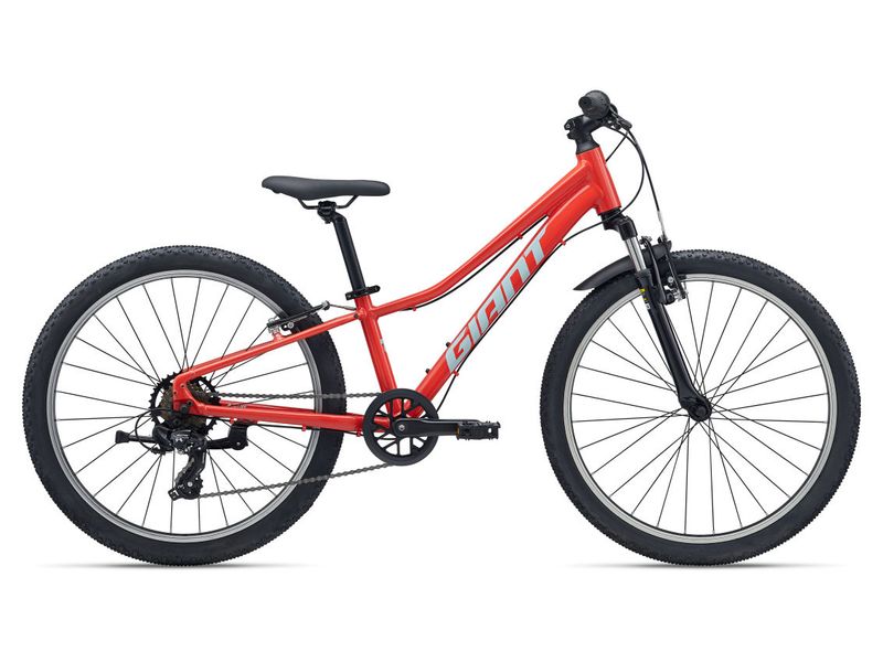 GIANT TALON 24 (2026)