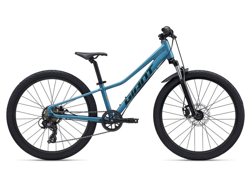 GIANT TALON 24 DISC (2027)