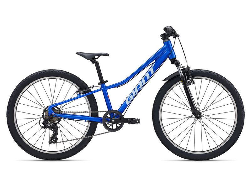 GIANT TALON 24 (2027)