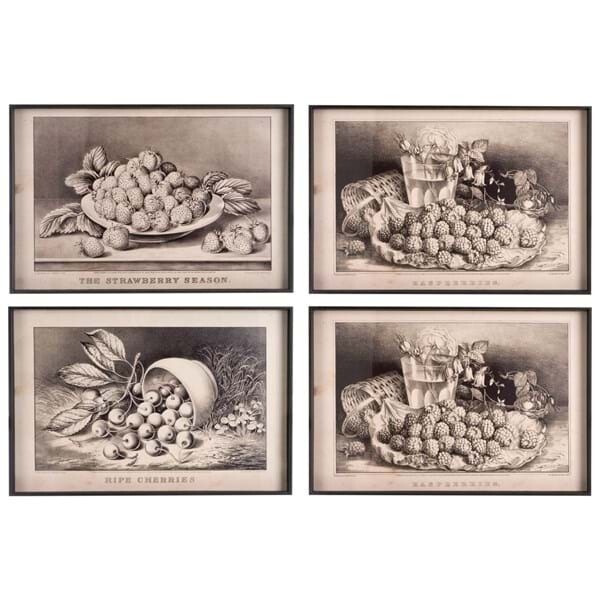Quadro Still Life
