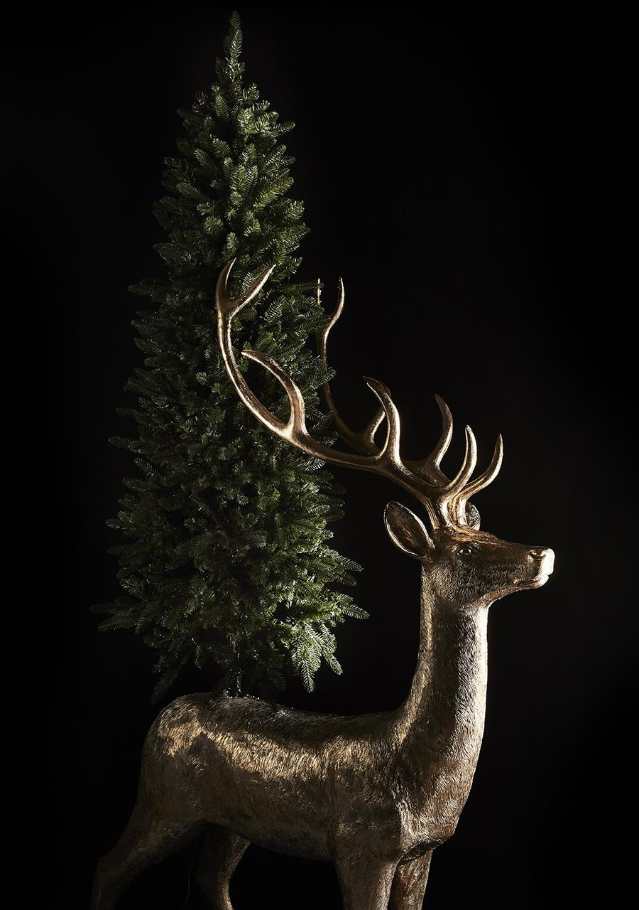 Pino Slim EDG h.180cm