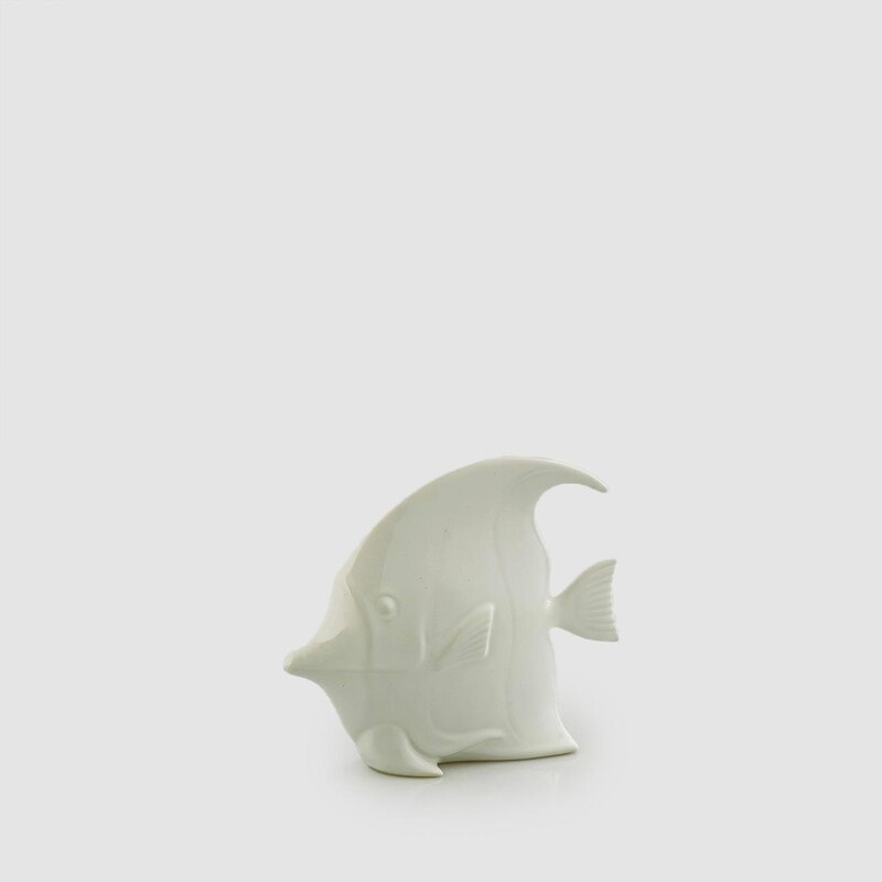 Pesce disco bianco
