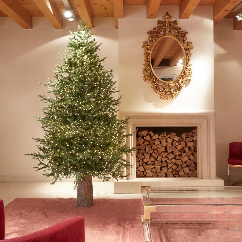 Pino Imperial EDG con led h.210cm Pino Imperial EDG con led h.210cm