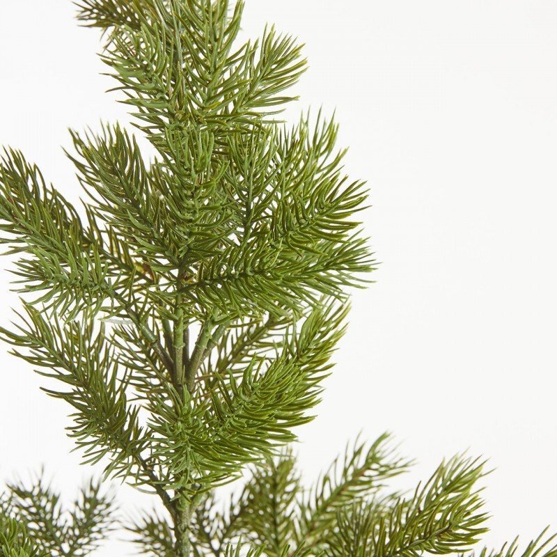 Pino West EDG tronco lungo h.225cm