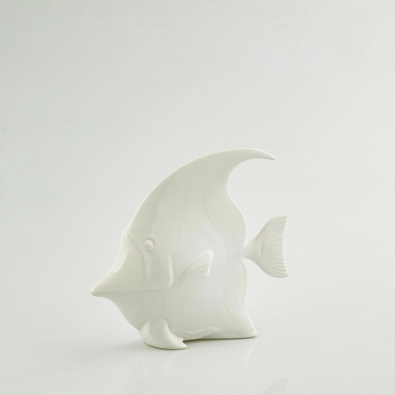 Pesce disco bianco
