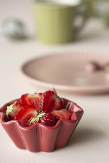 Stampo cup cake Mynte