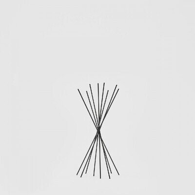 Bastoncini rattan per profuma ambiente h.35cm