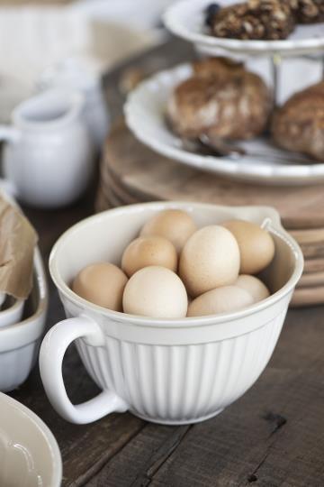 Ciotola con dosatore Mynte