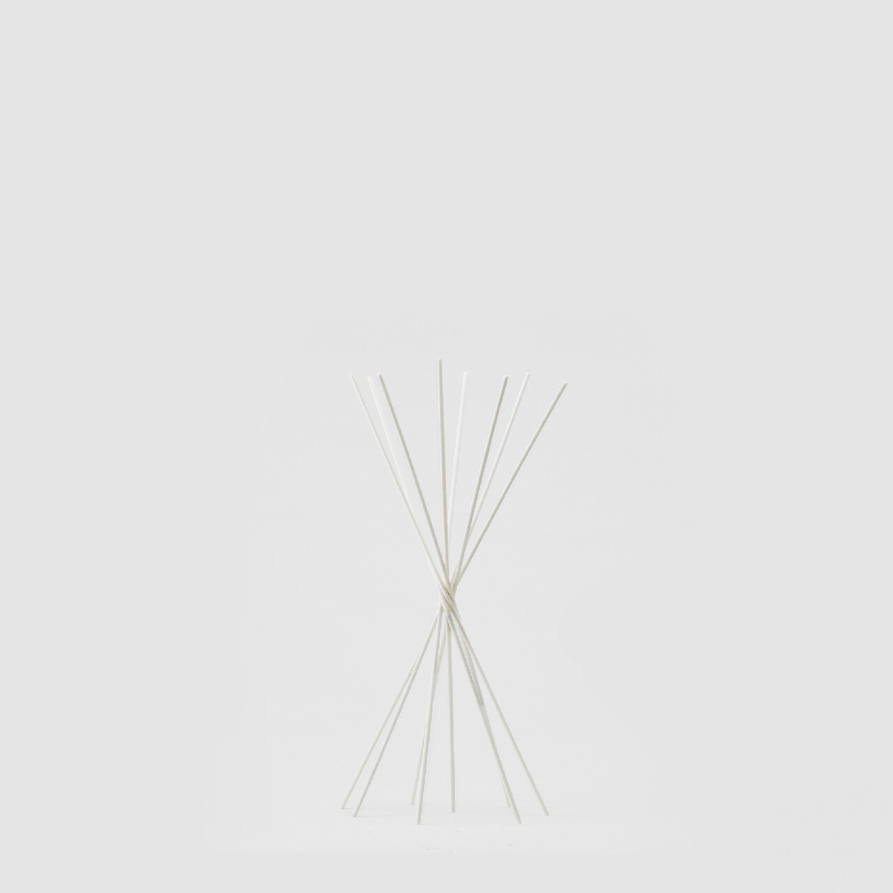 Bastoncini rattan per profuma ambiente h.35cm