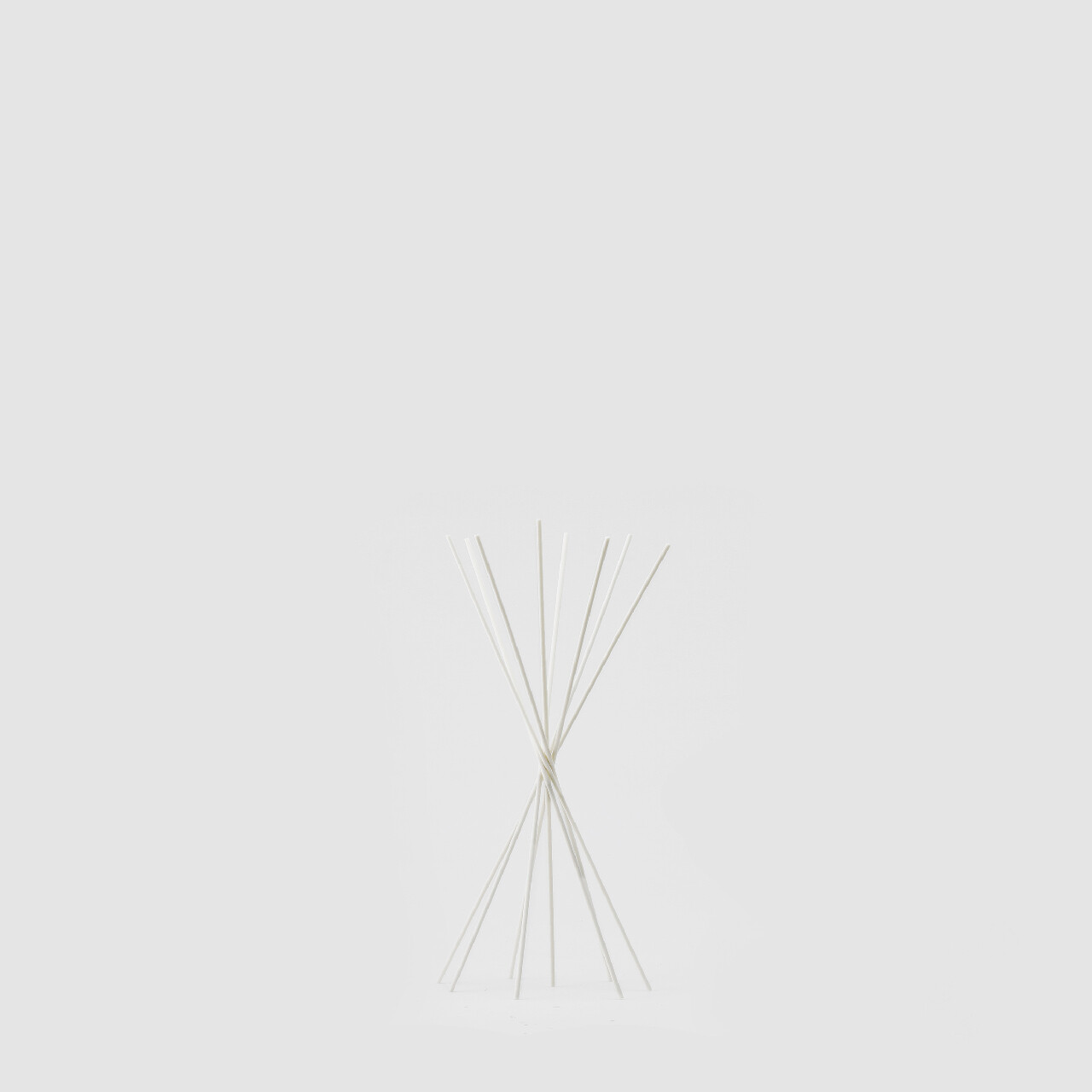 Bastoncini rattan per profuma ambiente h.28cm