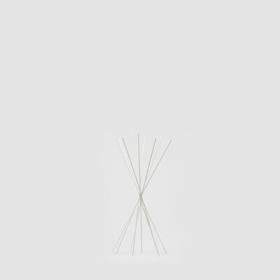 Bastoncini rattan per profuma ambiente h.28cm