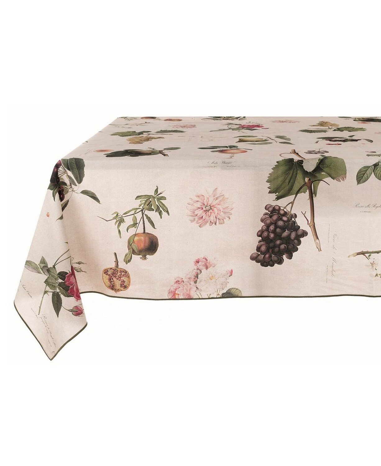 Tovaglia Botanical 150x180cm