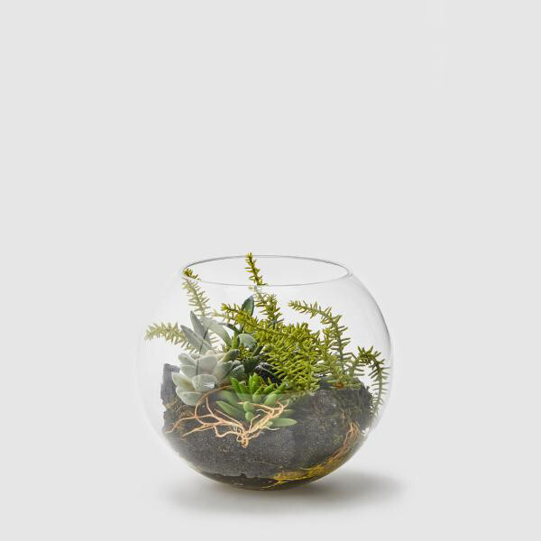 Sfera di vetro con succulent