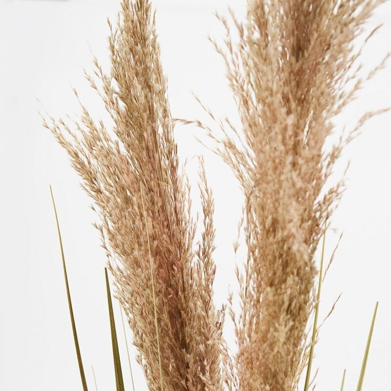Pampas West