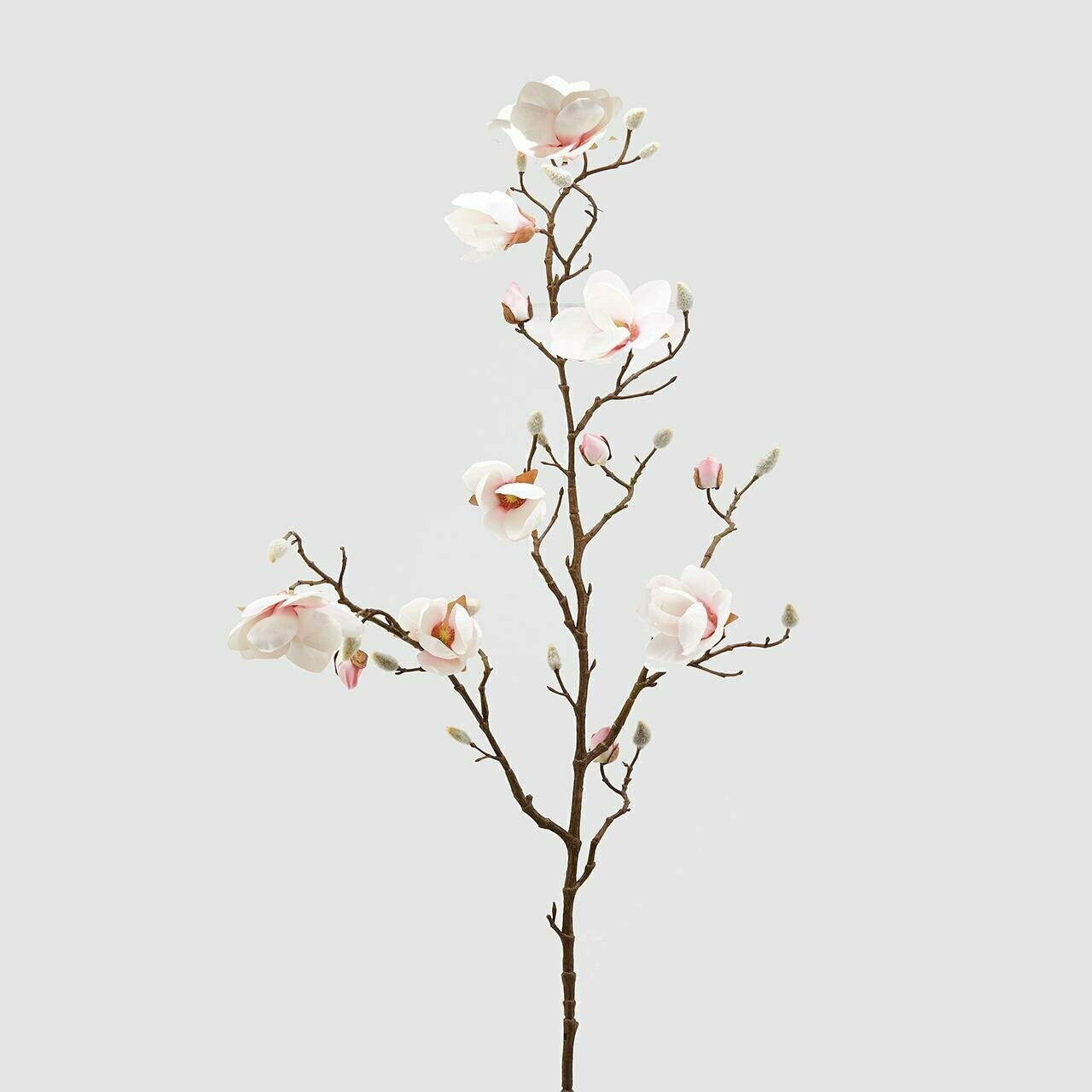Magnolia Steel