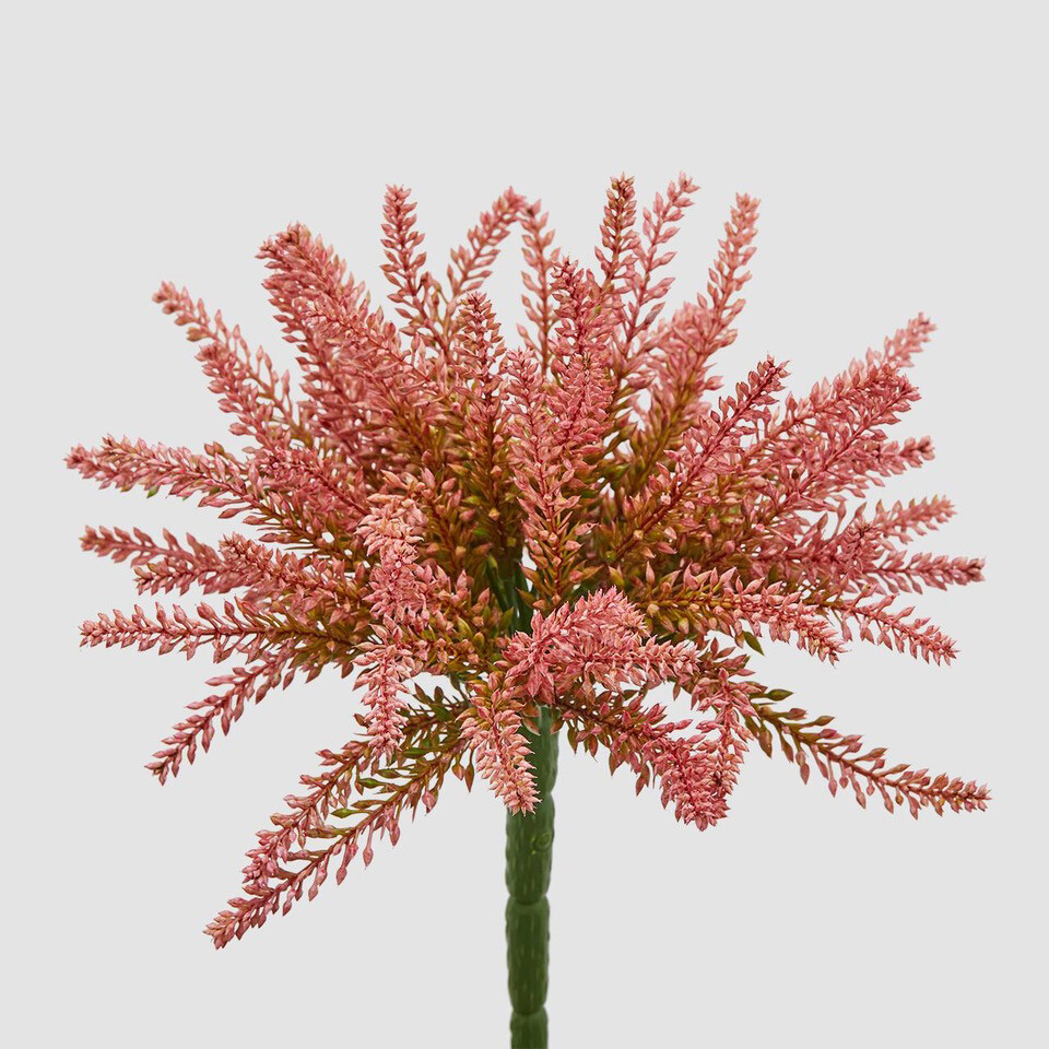 Mazzo Erica