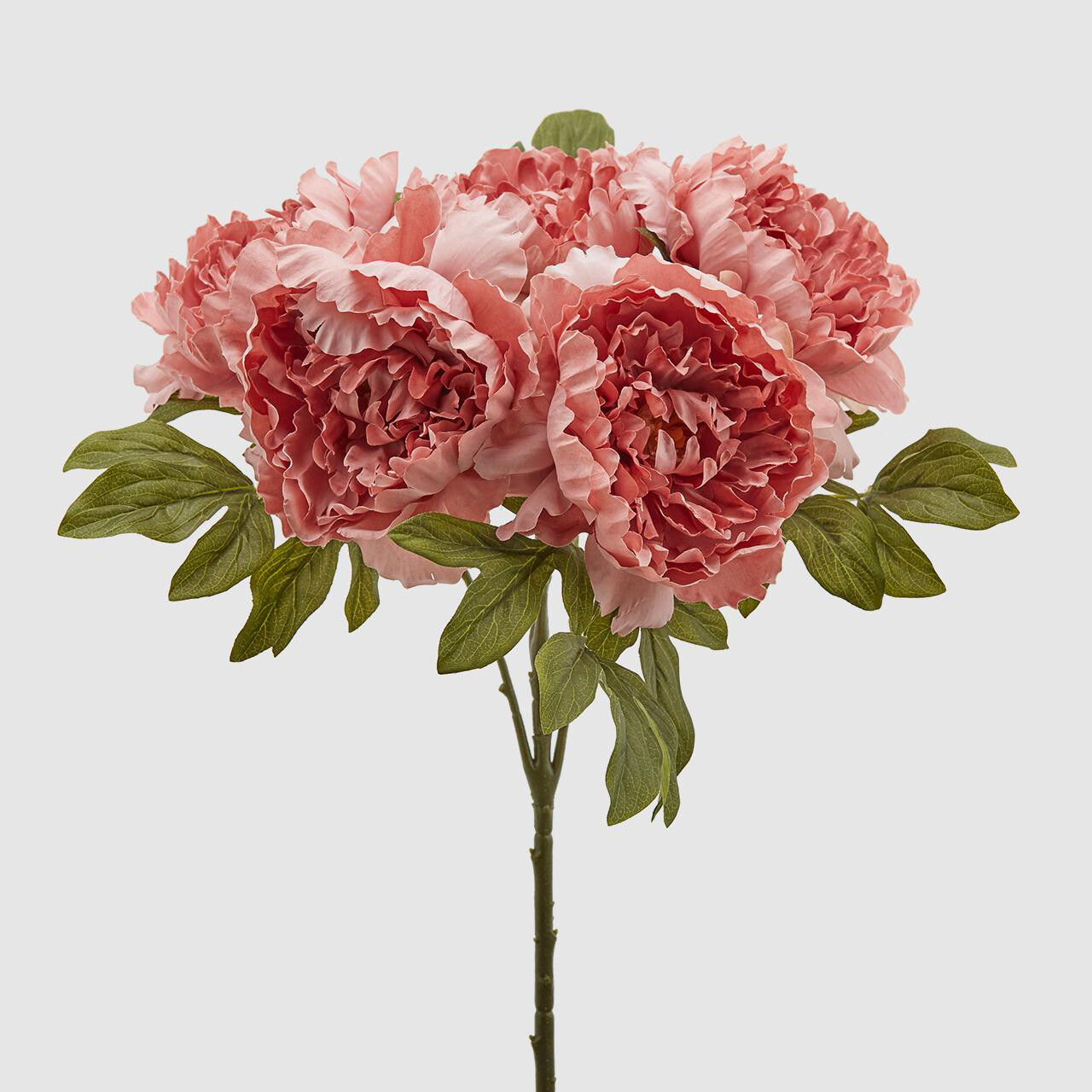 Peonia Epoque