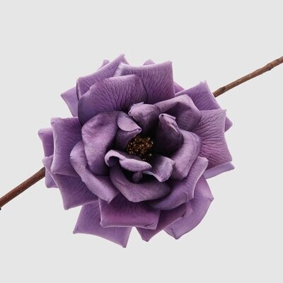 Rosa con clip