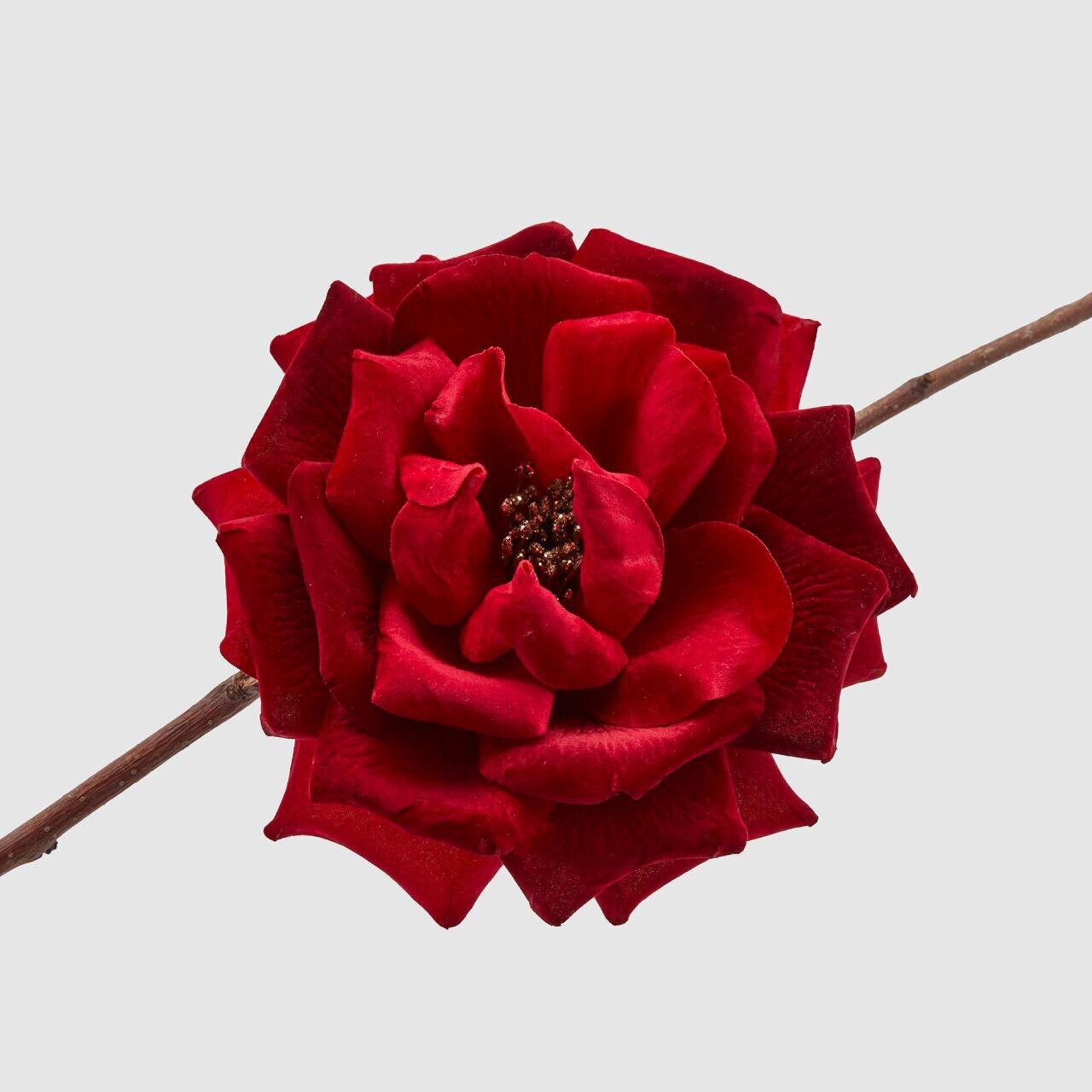 Rosa con clip
