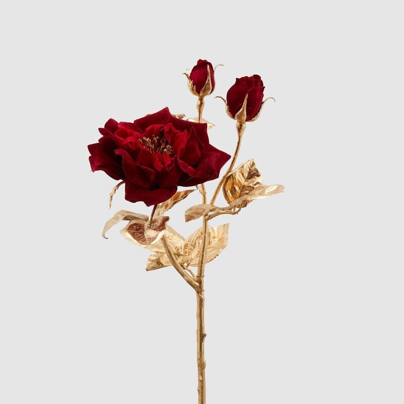 Rosa ramo stelo