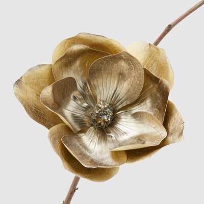 Magnolia testa clip