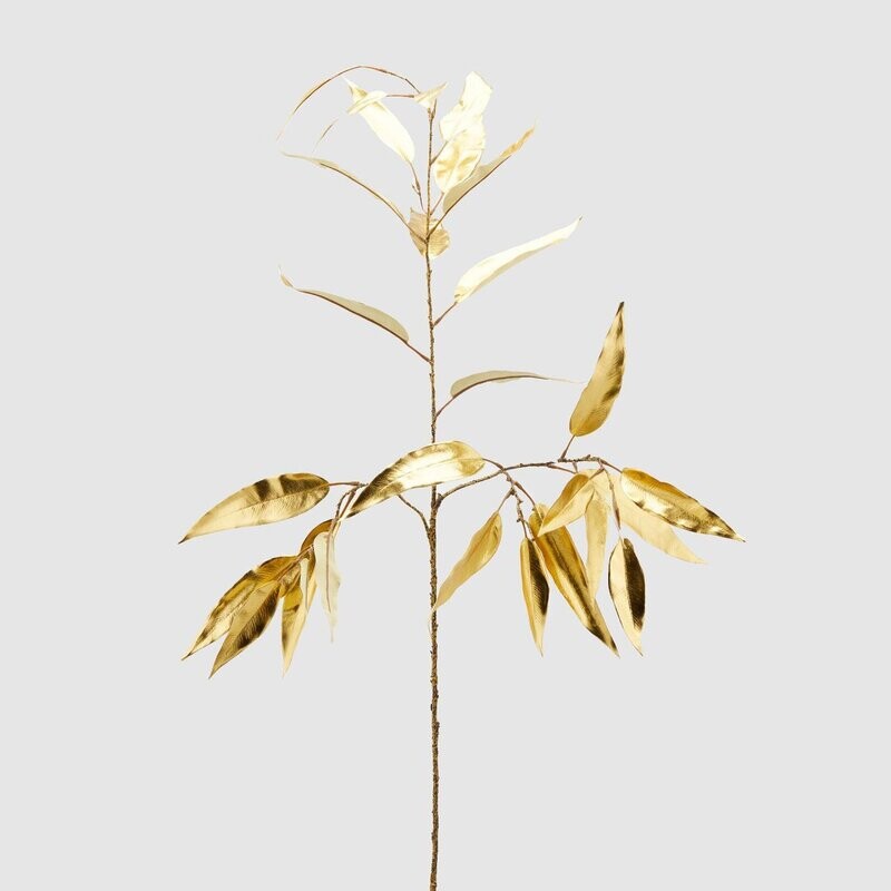 Eucalipto metal gold