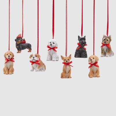 Decoro cagnolini