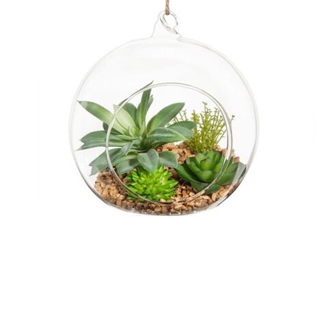Sfera con piante grasse