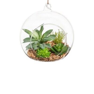 Sfera con piante grasse