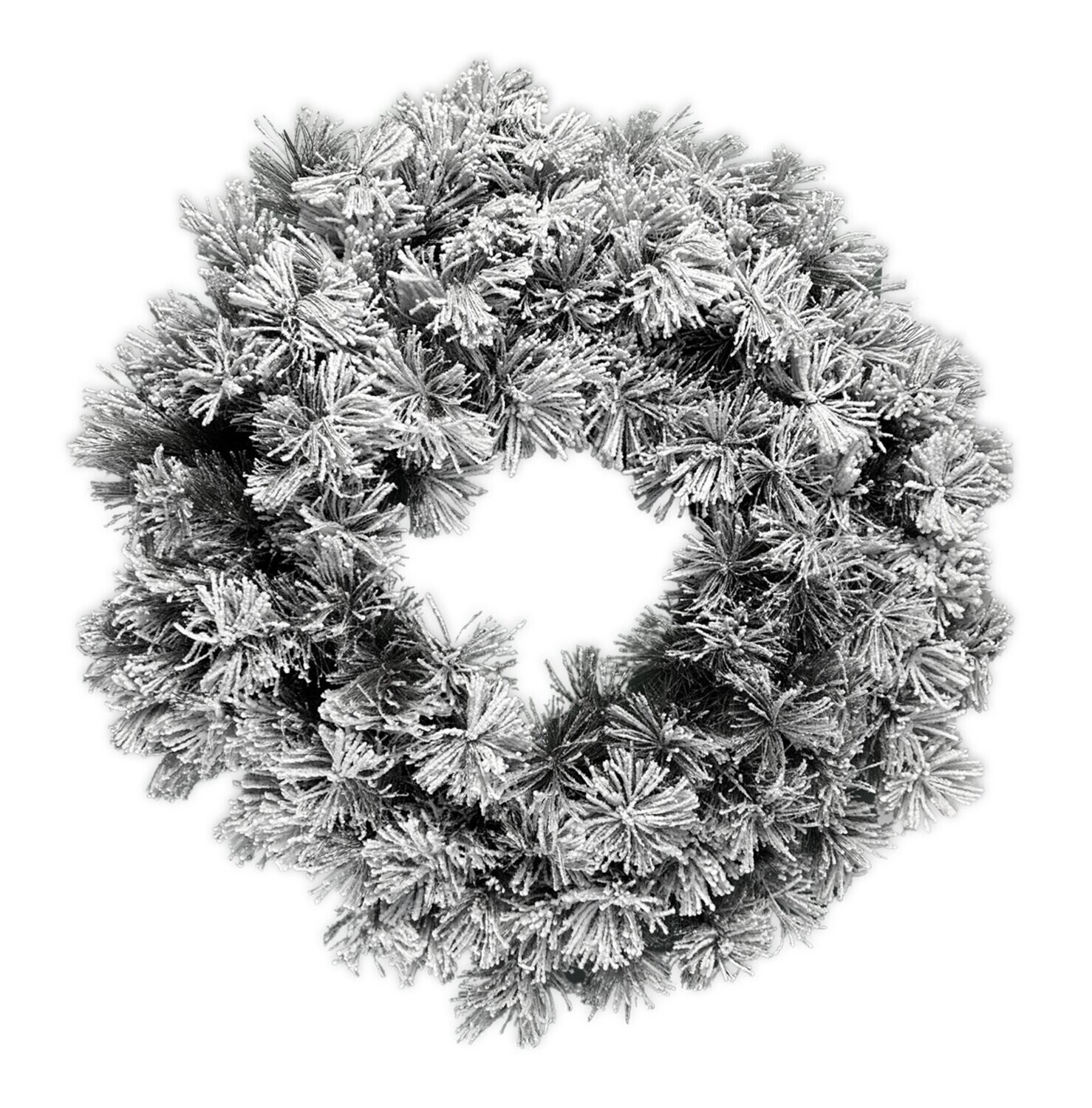 Corona innevata