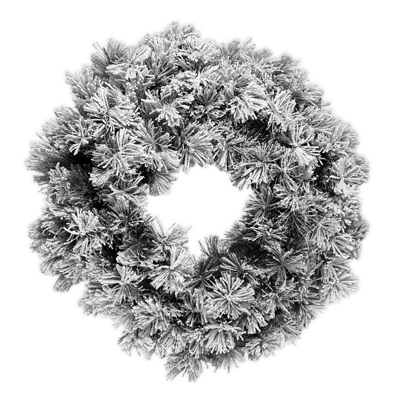 Corona innevata
