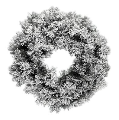 Corona innevata