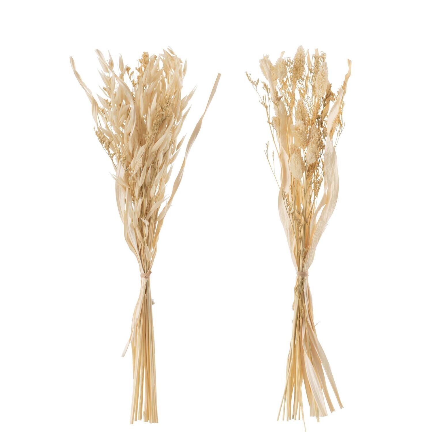Avena essiccata