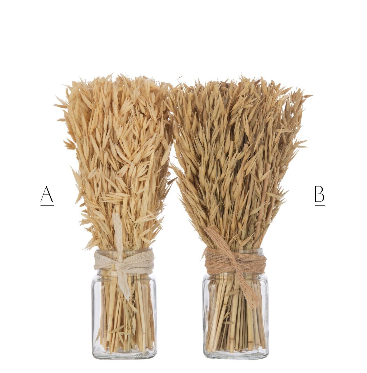 Avena essiccata con vaso, Variante: A