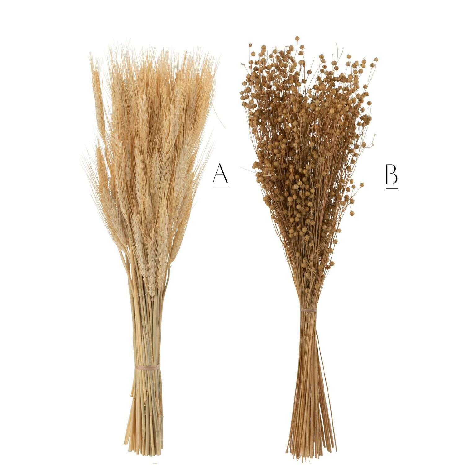 Mazzo lino e grano, Variante: A. Grano