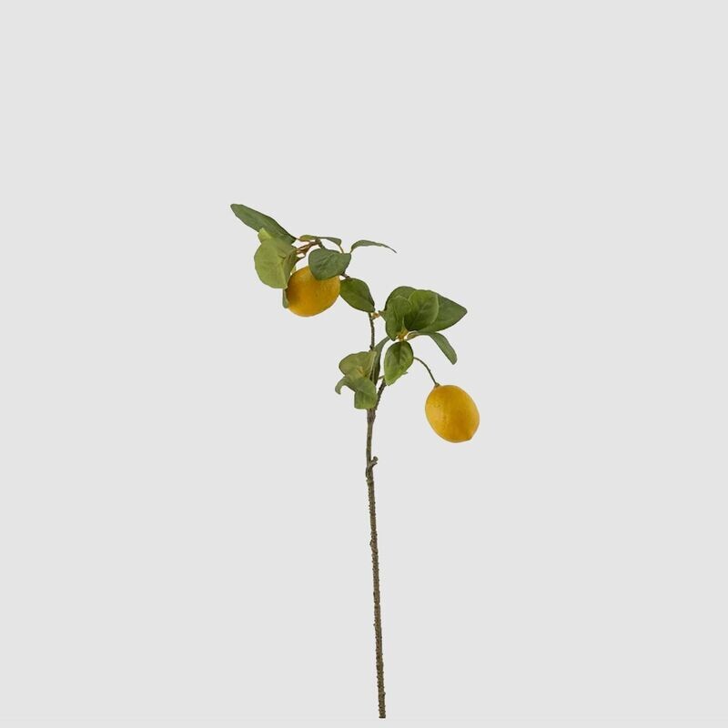 Ramo limone Rex