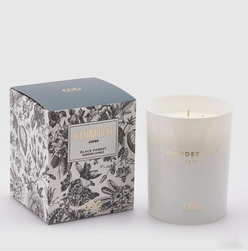 Candela Wanderlust Aspen foresta nera