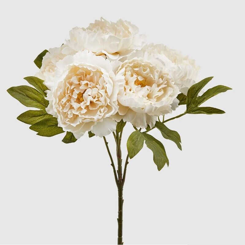 Peonia Epoque